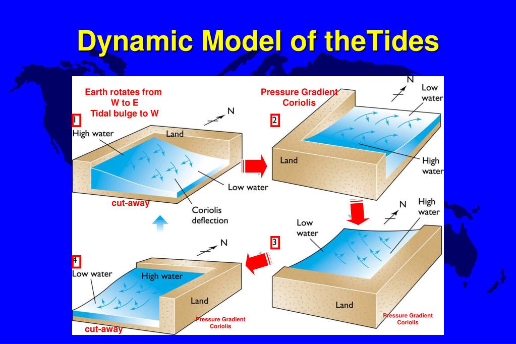 8.05 graded assignment tides model project