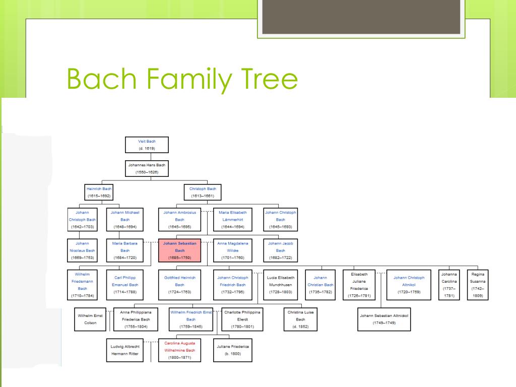 Johann Sebastian Bach Family