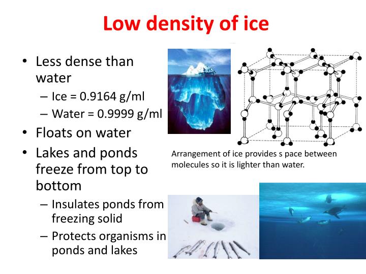 PPT Understanding Water PowerPoint Presentation ID2739092