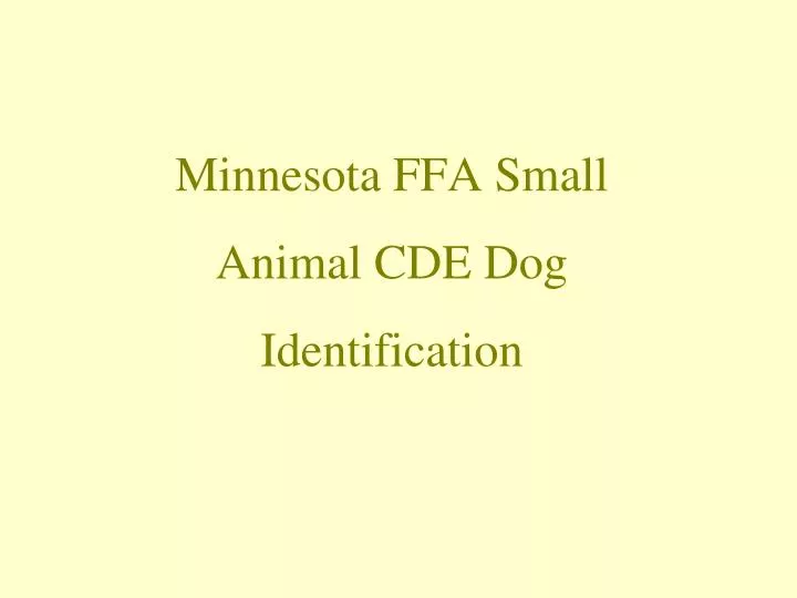 PPT Minnesota FFA Small Animal CDE Dog Identification PowerPoint