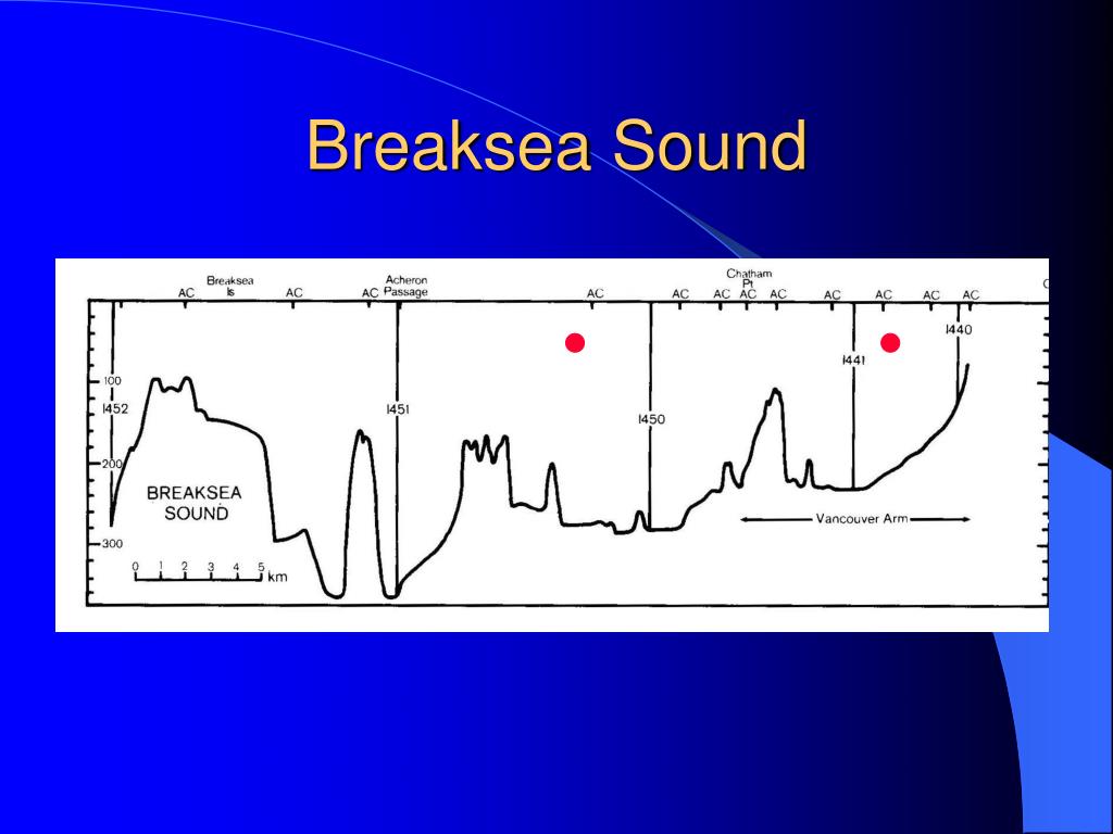 PPT - Population genetics of Liothyrella neozelanica in Breaksea Sound ...