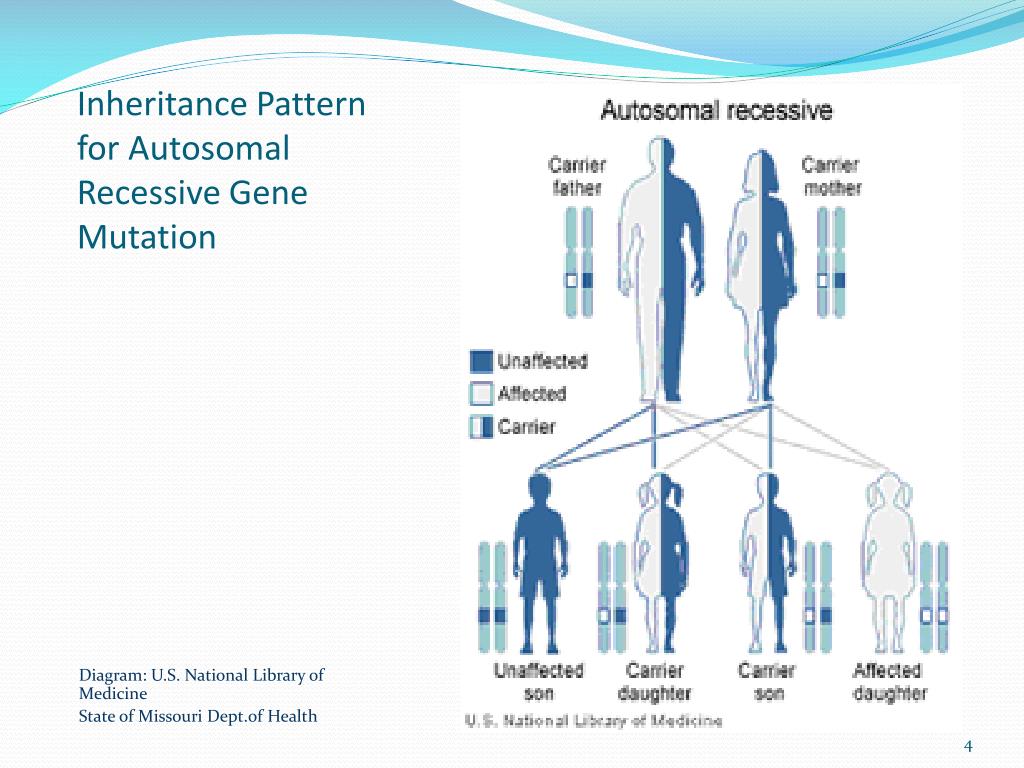 Ppt how is deafness inherited powerpoint presentation free download