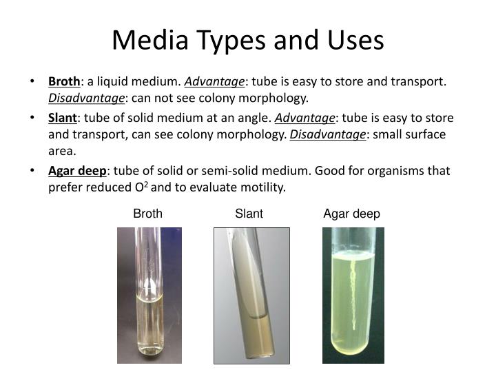 PPT - Lab 1: Aseptic Technique And Isolation Of Bacteria PowerPoint ...