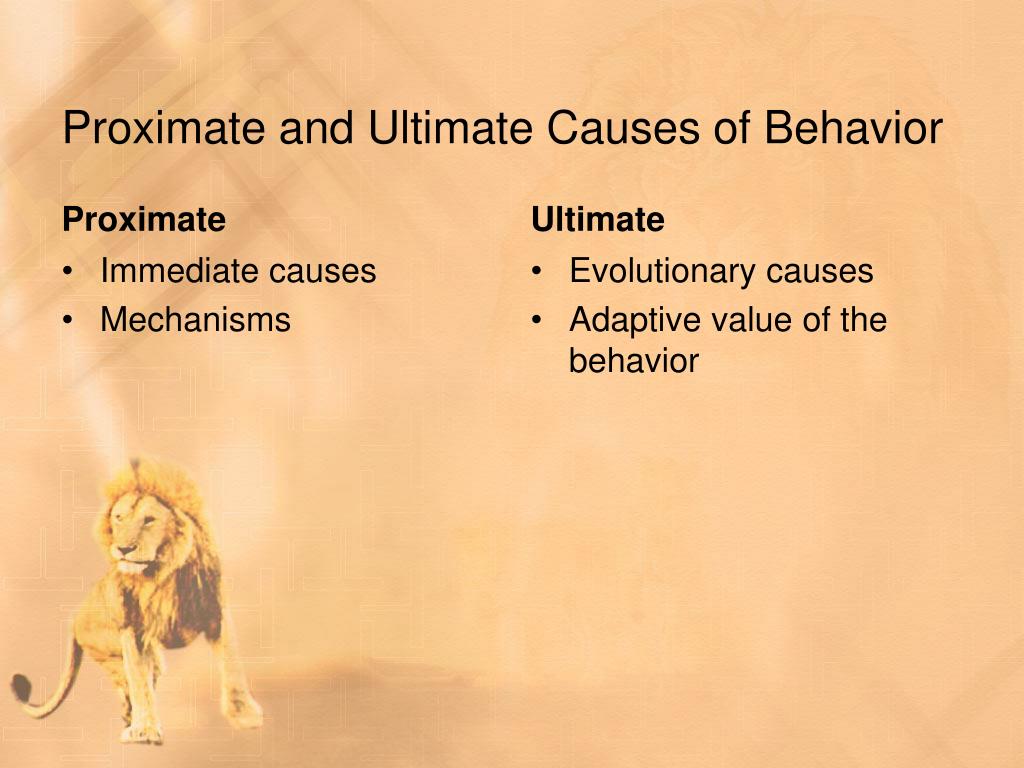 PPT - Animal Behavior PowerPoint Presentation, free download - ID:2742873