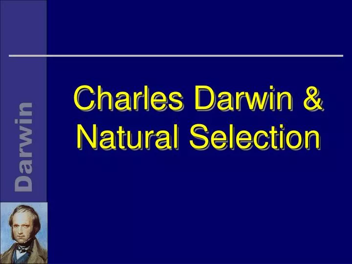 charles darwin natural selection charles darwin natural selection