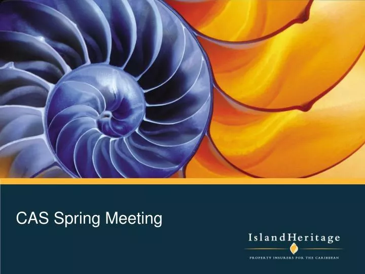 PPT CAS Spring Meeting PowerPoint Presentation, free download ID