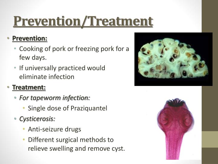 PPT Parasites Fish Tapeworm Pork Tapeworm PowerPoint Presentation