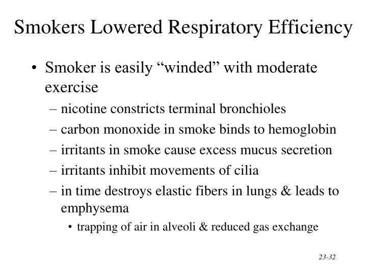 PPT The Respiratory System PowerPoint Presentation ID2743623