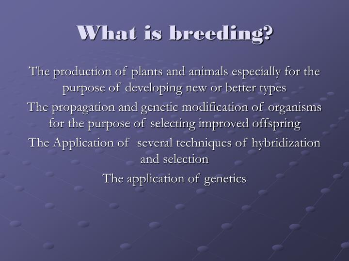PPT FISH AND BREEDING PowerPoint Presentation