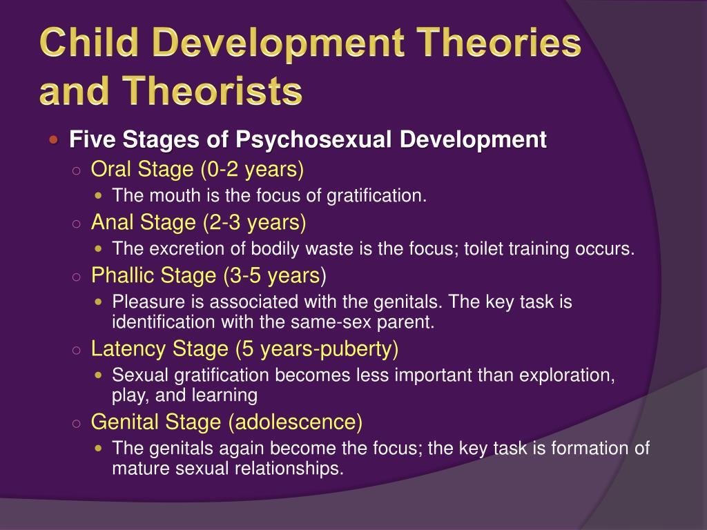 child development theorists assignment