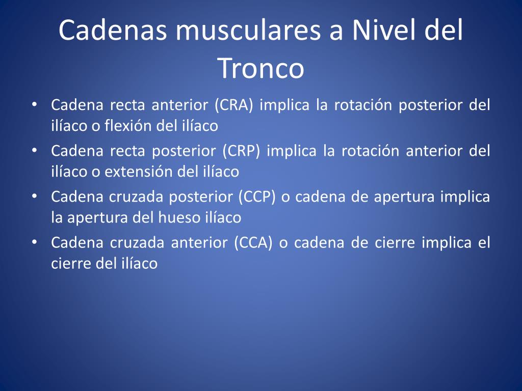 PPT - Cadenas Musculares de los Miembros Inferiores PowerPoint Presentation  - ID:2746165