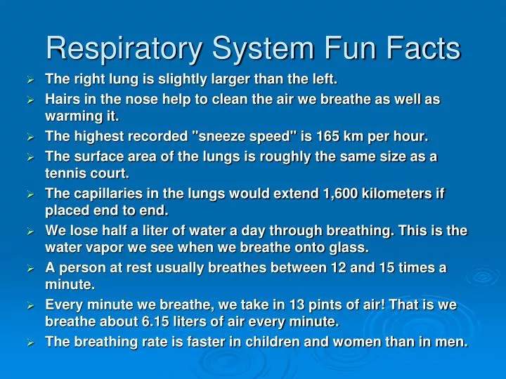 PPT - Respiratory System Fun Facts PowerPoint Presentation, free