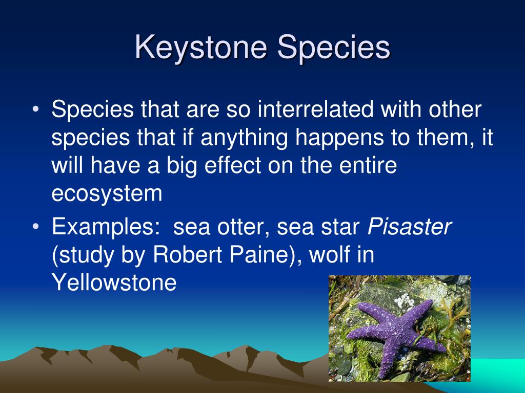 PPT Species Interactions Chapter 8 Sections 2 4 PowerPoint Presentation ID 2746429