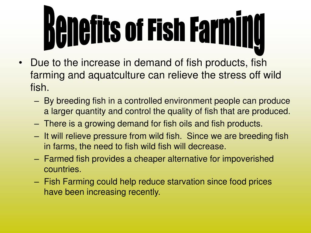 literature review on fish farming