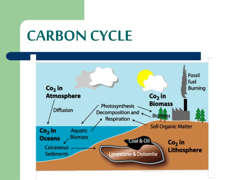 Ppt Carbon Powerpoint Presentation Free Download Id2746817