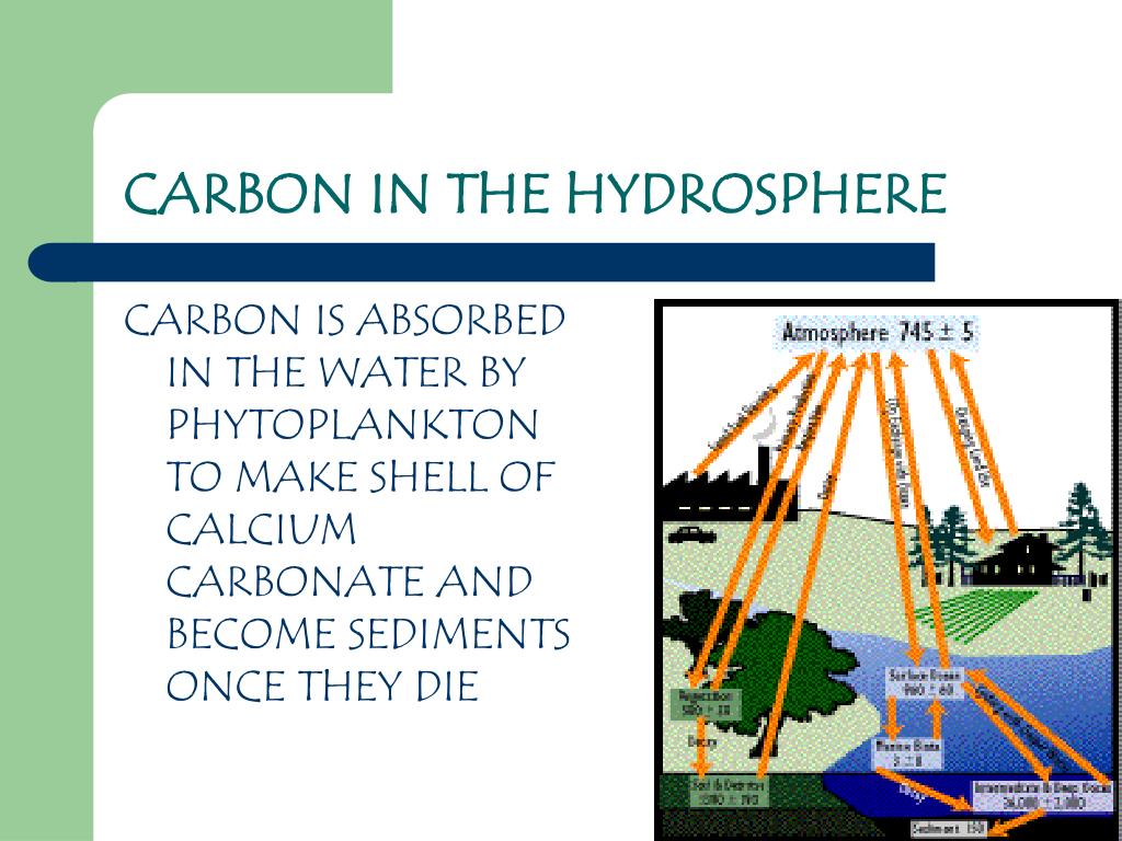 Ppt Carbon Powerpoint Presentation Free Download Id2746817