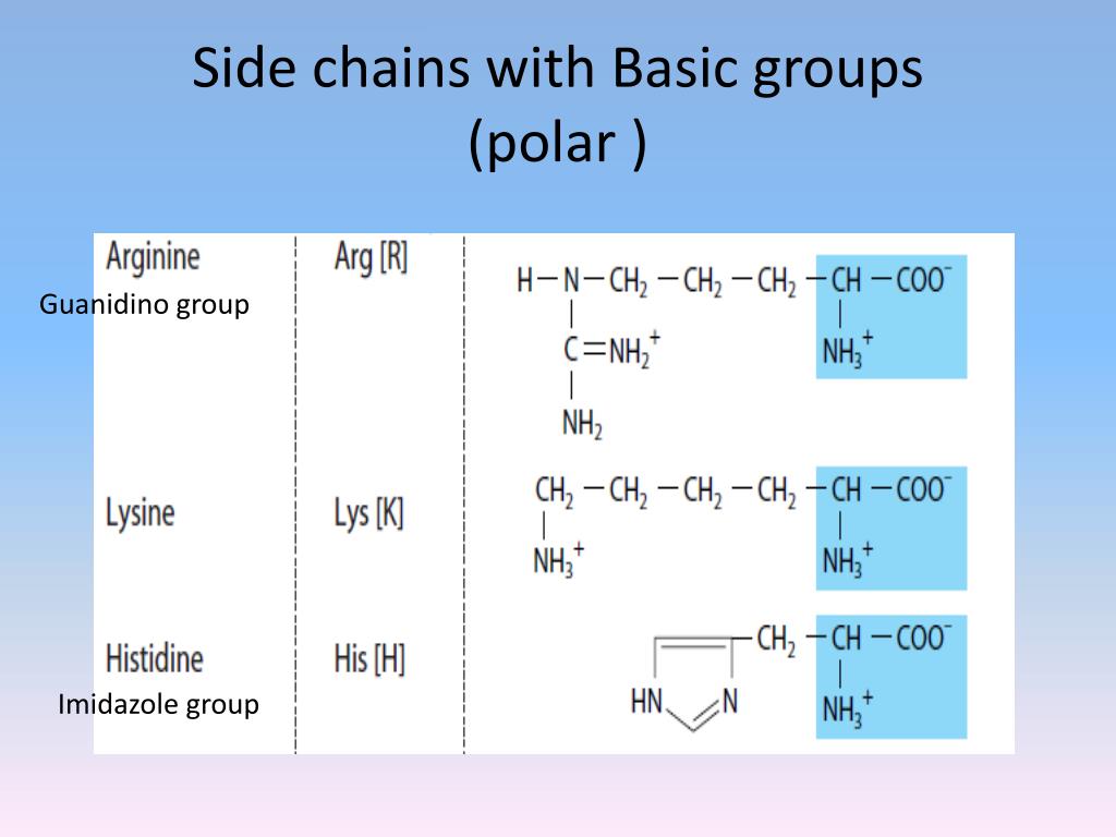 PPT Amino acid and Protein Chemistry PowerPoint Presentation, free