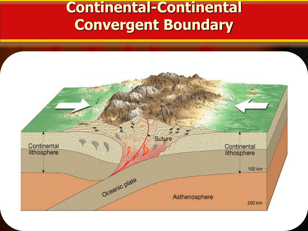 PPT - Plate Tectonics PowerPoint Presentation, free download - ID:2747490