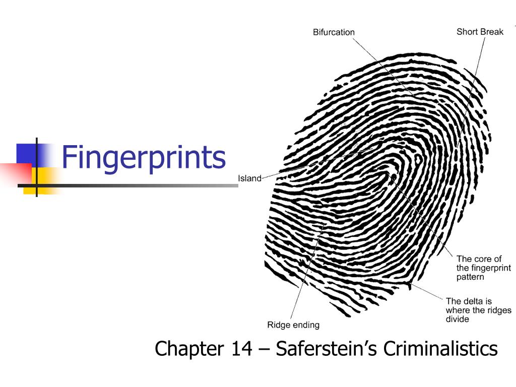 Sectionname ru настройки отпечатков профилей en fingerprints. Fingerprint схема. Ridge Fingerprint. Поставщик данных Fingerprint. Fingerprints браузера схема.