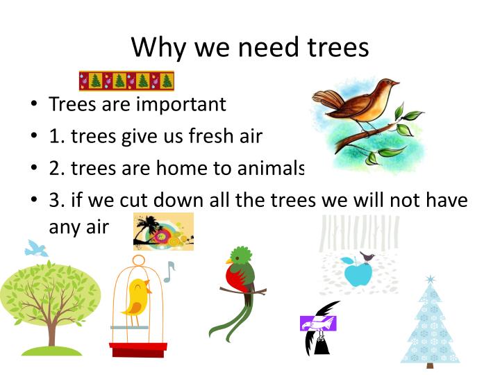 why we need trees essay
