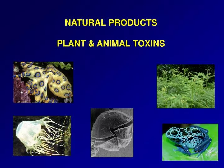 PPT NATURAL PRODUCTS PLANT & ANIMAL TOXINS PowerPoint Presentation