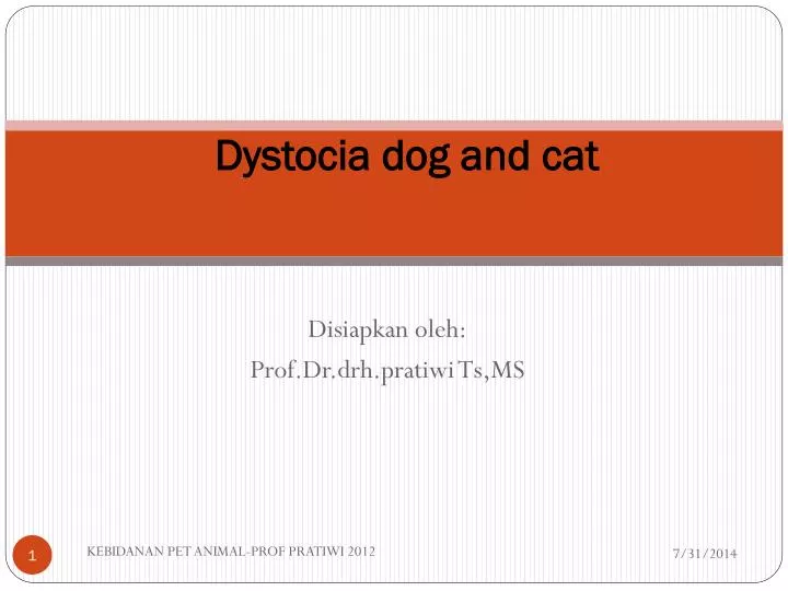 dystocia dog and cat n.