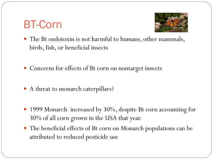 PPT - GMO—Detecting Genetically Modified Foods PowerPoint Presentation ...