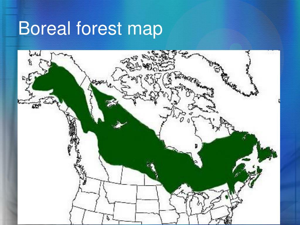 PPT Canadian Biomes PowerPoint Presentation, free download ID2752695