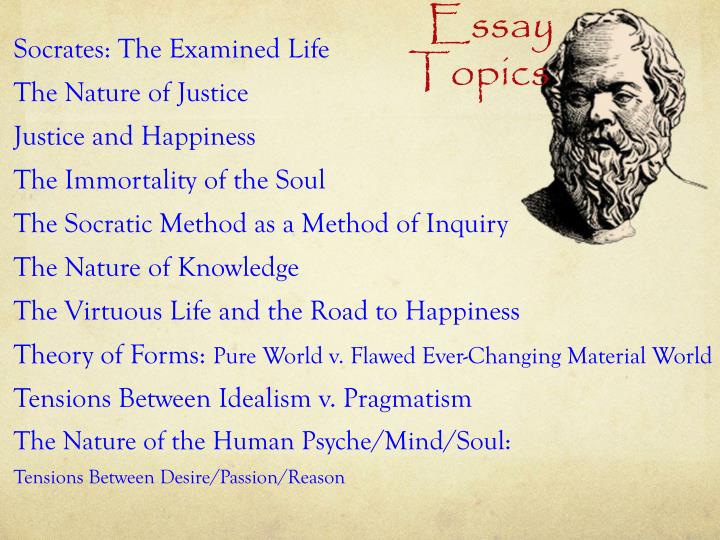 Dissertation essay four immortality soul suicide