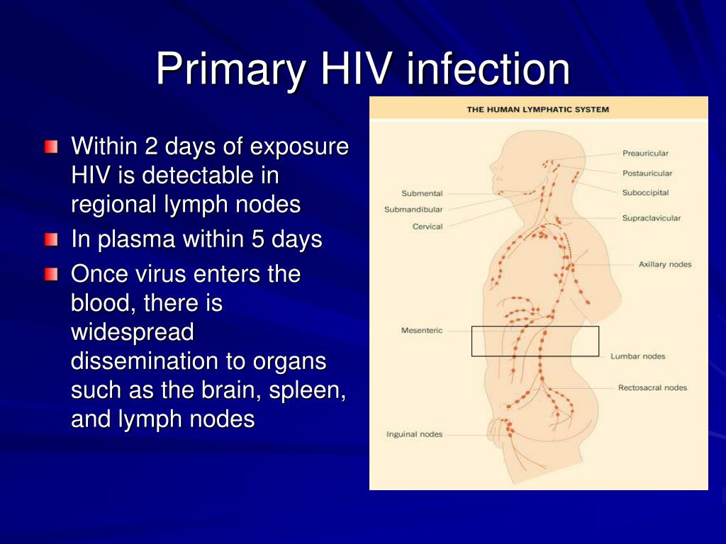 PPT - HIV Pathogenesis PowerPoint Presentation, Free Download - ID:2753732