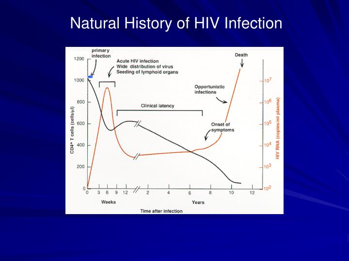 PPT - HIV Pathogenesis PowerPoint Presentation - ID:2753732