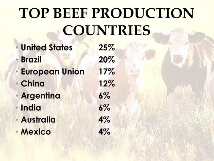 PPT Beef Cattle PowerPoint Presentation ID2755024