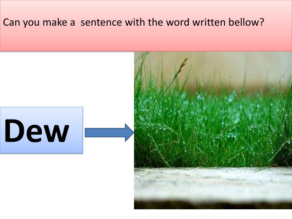 Sentence Using Bellow PPT - Welcome To English Clas s PowerPoint Presentation, free download ...