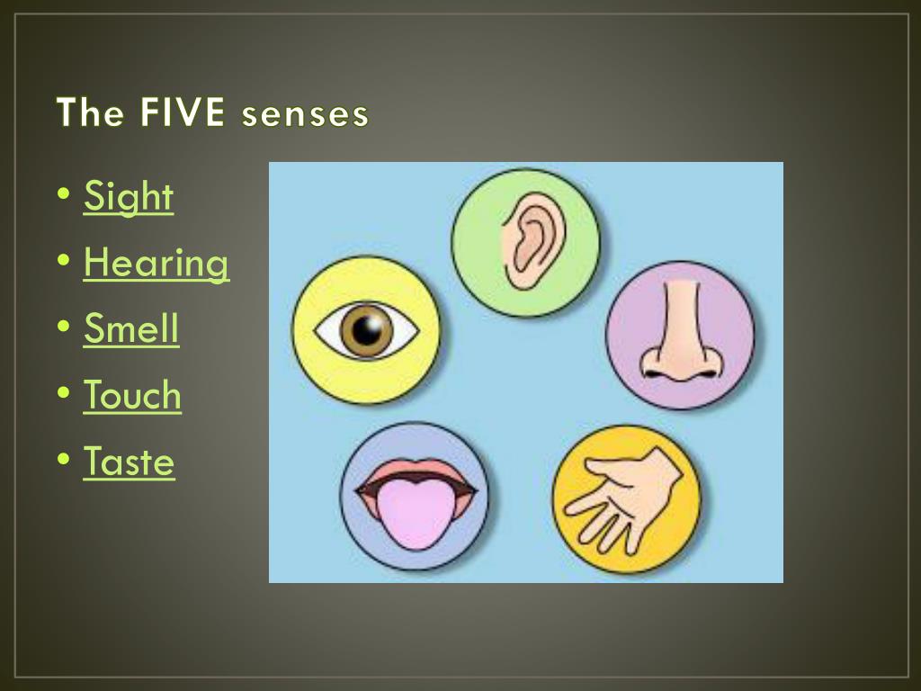 PPT Imagery PowerPoint Presentation Free Download ID 2755282 ppt-imagery-powerpoint-presentation-free-download-id-2755282