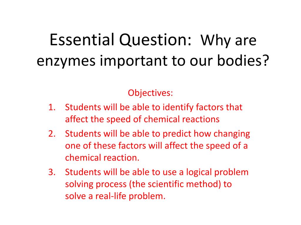 PPT - Essential Question: Why are enzymes important to our bodies?  PowerPoint Presentation - ID:2756571