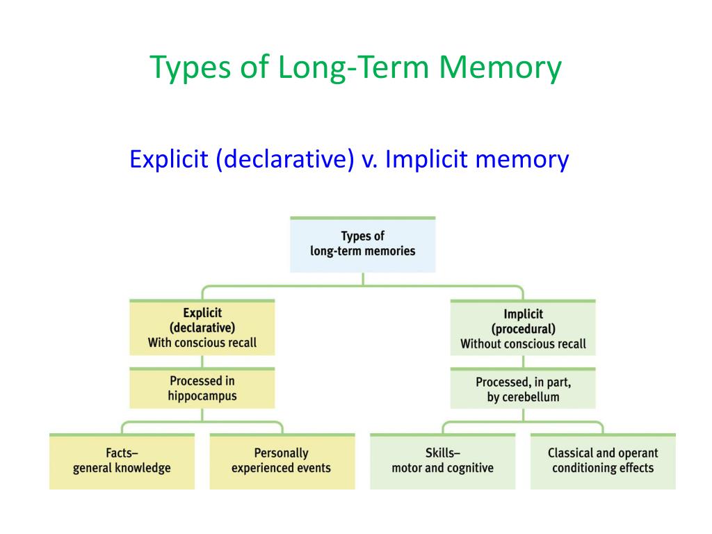 PPT - Learning and Memory PowerPoint Presentation, free download - ID ...