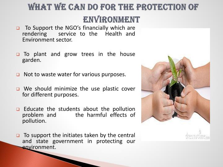 the environment essay the environment essay