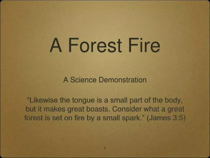 a forest fire n.