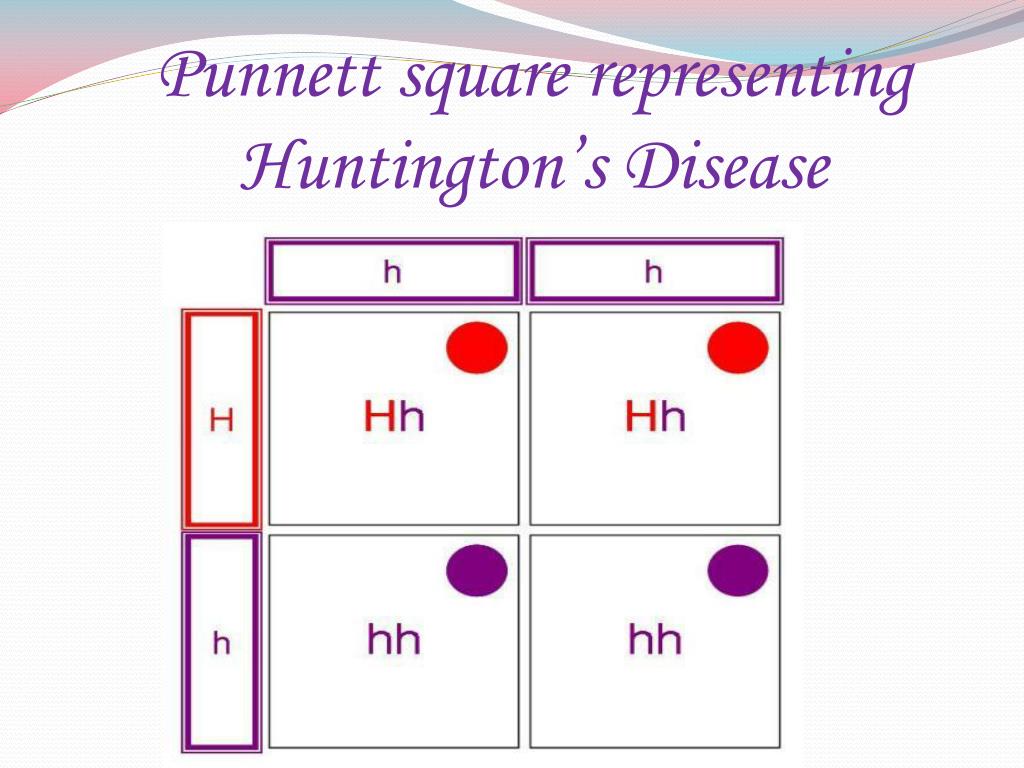 Pedigree Chart For Huntington S Disease