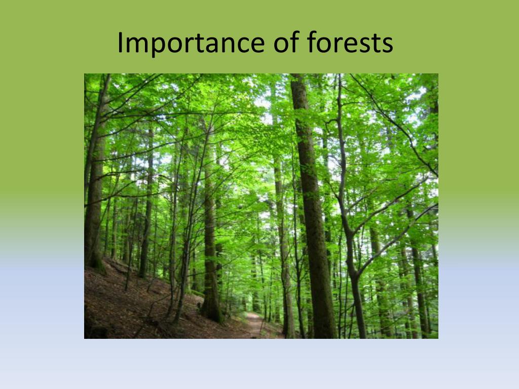 importance of nature presentation