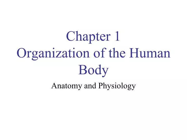 ppt-chapter-1-organization-of-the-human-body-powerpoint-presentation