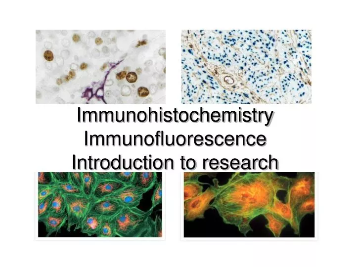 immunohistochemistry immunofluorescence introduction to research n.