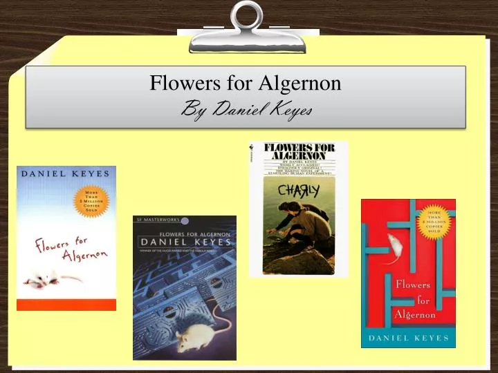 an essay on flowers for algernon an essay on flowers for algernon