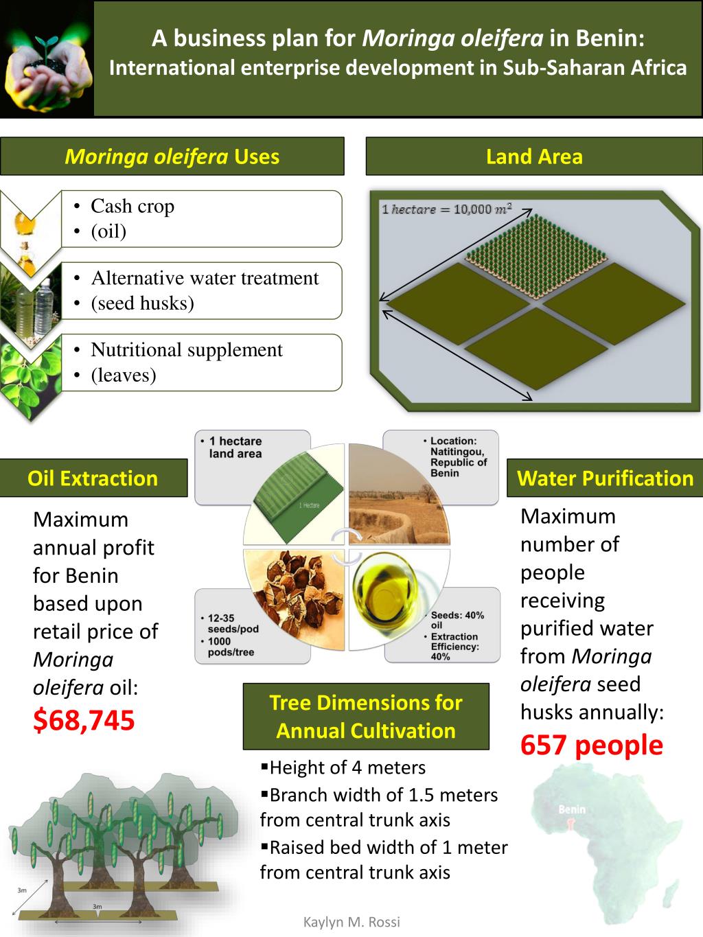PPT A business plan for Moringa oleifera in Benin PowerPoint