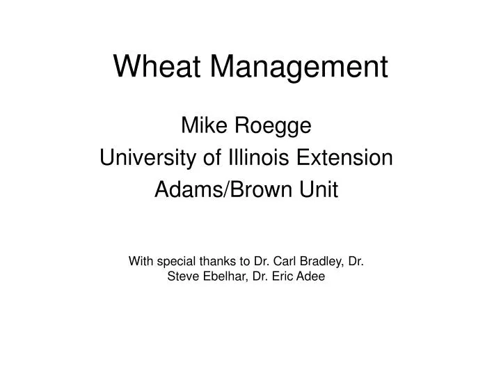 wheat management n.