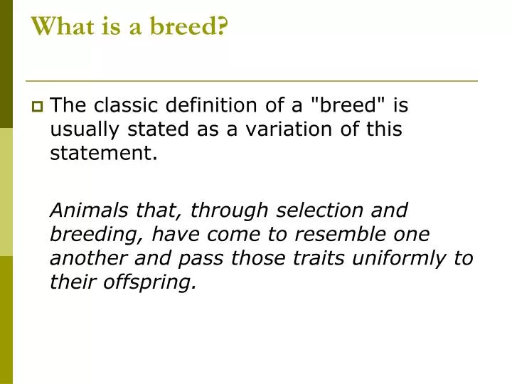 PPT What is a breed? PowerPoint Presentation, free download ID2760946
