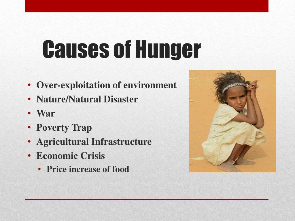 thesis statement about world hunger has many causes and effects