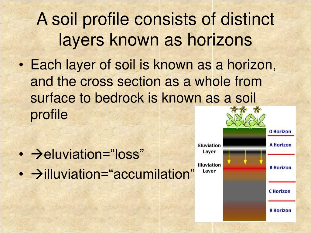distinct soil horizon definition