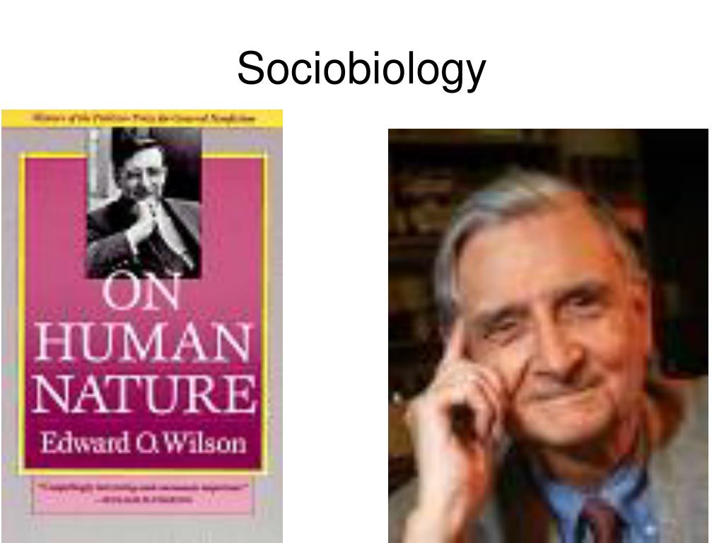 PPT - Theoretical Perspectives on Sex and Gender PowerPoint ...