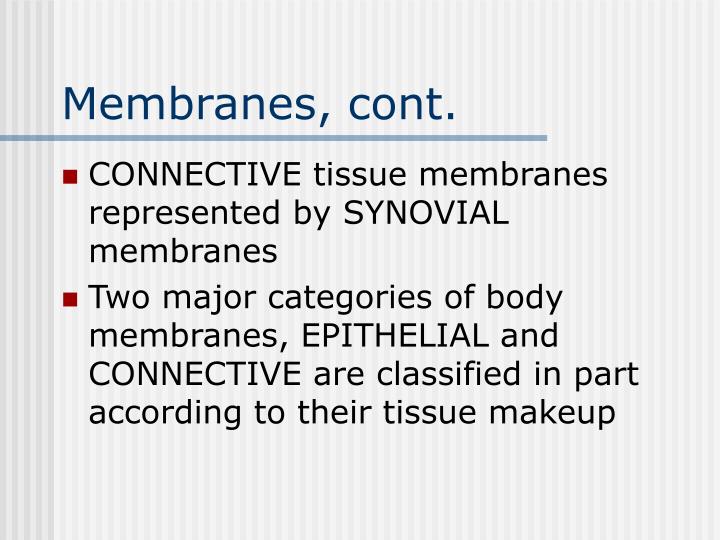 lab a p classification of body membranes A&p ch 4 study guide – tissues & membranes 1 name the four major types of tissues and their primary functions following table relating to body membranes. lab a p classification of body membranes A&p ch 4 study guide – tissues & membranes 1 name the four major types of tissues and their primary functions following table relating to body membranes.